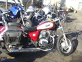 annonce moto accident&eacute;e PIONNER - CUSTOM 125