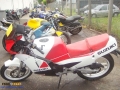 annonce moto accident&eacute;e SUZUKI - RG 125