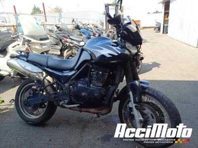 TRIUMPH TIGER 900