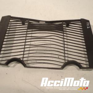 Grille de radiateur YAMAHA FZ1 N