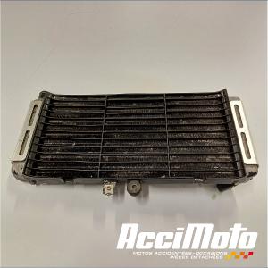 Radiateur de refroidissement HONDA HORNET CB900F