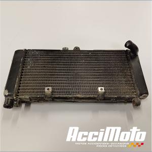 Radiateur de refroidissement HONDA HORNET CB900F