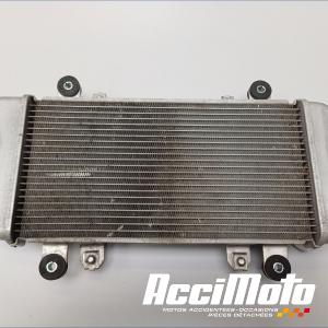 Radiateur de refroidissement KAWASAKI NINJA EX300