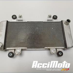 Radiateur de refroidissement KAWASAKI NINJA EX300