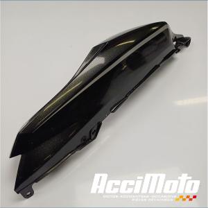 Coque arrière (gauche) KAWASAKI ZZR ZX1400