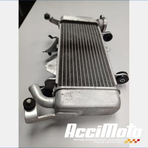 Radiateur de refroidissement YAMAHA MT 125