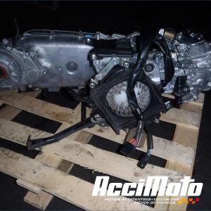 Moteur HONDA FORZA NSS125