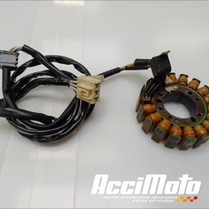 Stator d'alternateur YAMAHA TMAX XP500