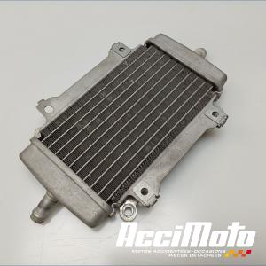 Radiateur de refroidissement VESPA GTS 300