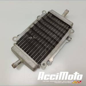 Radiateur de refroidissement VESPA GTS 300