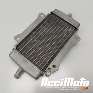 Radiateur de refroidissement VESPA GTS 300