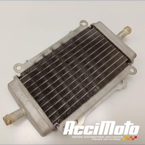 Radiateur de refroidissement VESPA GTS 300