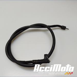 Cable de compteur  TRIUMPH LEGEND TT 900