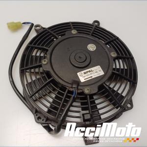 Ventilateur de radiateur  TRIUMPH LEGEND TT 900