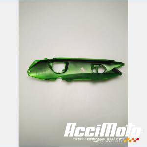 Coque arrière (droite) KAWASAKI ER6 N