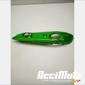 Coque arrière (gauche) KAWASAKI ER6 N