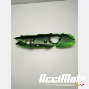 Coque arrière (gauche) KAWASAKI ER6 N