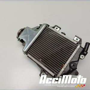 Radiateur de refroidissement HONDA PCX125