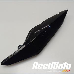 Coque arrière (gauche) YAMAHA XJ6N