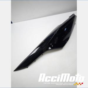 Coque arrière (gauche) HONDA FORZA NSS300