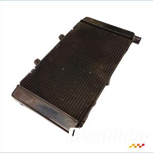 Radiateur de refroidissement HONDA CBF600S