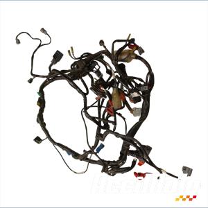 Faisceau de rampe d'injection HONDA CBF600S