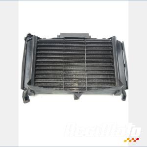 Radiateur de refroidissement YAMAHA FZ6 N