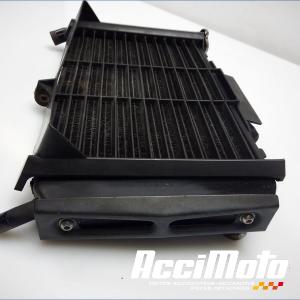 Radiateur de refroidissement YAMAHA FZ6 N