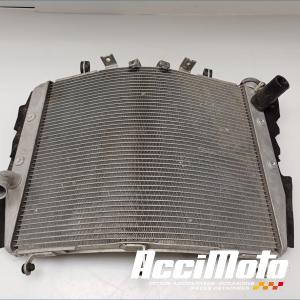 Radiateur de refroidissement KAWASAKI NINJA H2 SX SE