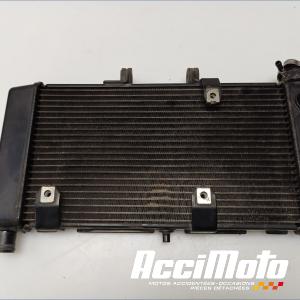 Radiateur de refroidissement HONDA NC750D INTEGRA