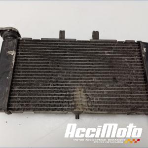 Radiateur de refroidissement HONDA NC750D INTEGRA