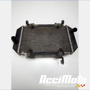 Radiateur de refroidissement KYMCO AK 550