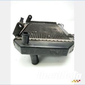 Radiateur de refroidissement KYMCO AK 550