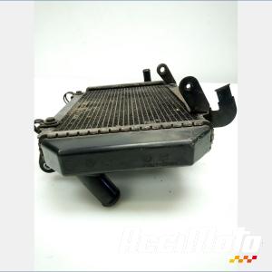 Radiateur de refroidissement KYMCO AK 550