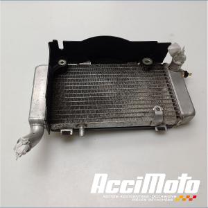 Radiateur de refroidissement HONDA VFR800 FI (98-01)