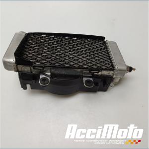 Radiateur de refroidissement HONDA VFR800 FI (98-01)