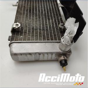 Radiateur de refroidissement HONDA VFR800 FI (98-01)
