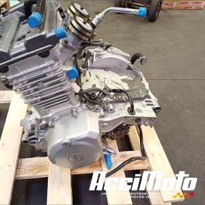 Moteur YAMAHA TRX 850