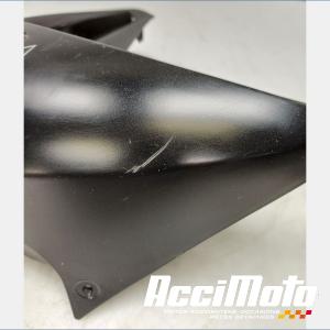écope de radiateur (droit) KAWASAKI ER6 N