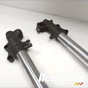 Fourche complète YAMAHA XTZ TENERE 700