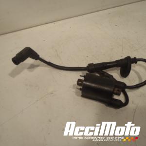 Bobine d'allumage cylindre avant HONDA TRANSALP XL600V