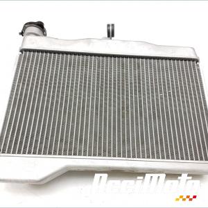 Radiateur de refroidissement YAMAHA XTZ TENERE 700