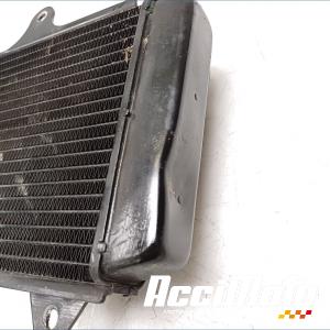 Radiateur de refroidissement KTM 390 RC