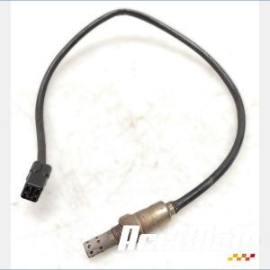 Sonde lambda TRIUMPH DAYTONA 675