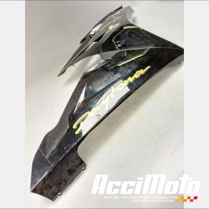 Flanc de carénage avant (droit) TRIUMPH DAYTONA 675