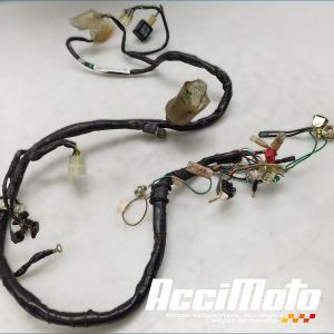 Faisceau électrique (principal) HONDA CM125