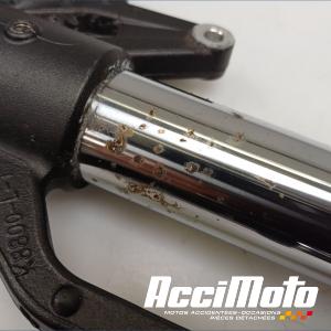 Fourche complète KAWASAKI Z 800E