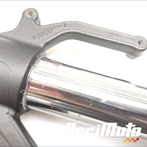 Fourche complète KAWASAKI Z 800E