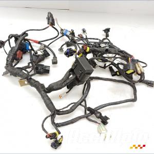 Faisceau électrique (principal) DUCATI SUPERBIKE 848 EVO CORSE