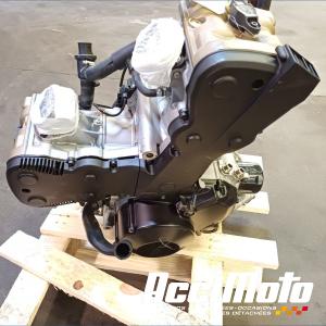 Moteur DUCATI SUPERBIKE 848 EVO CORSE